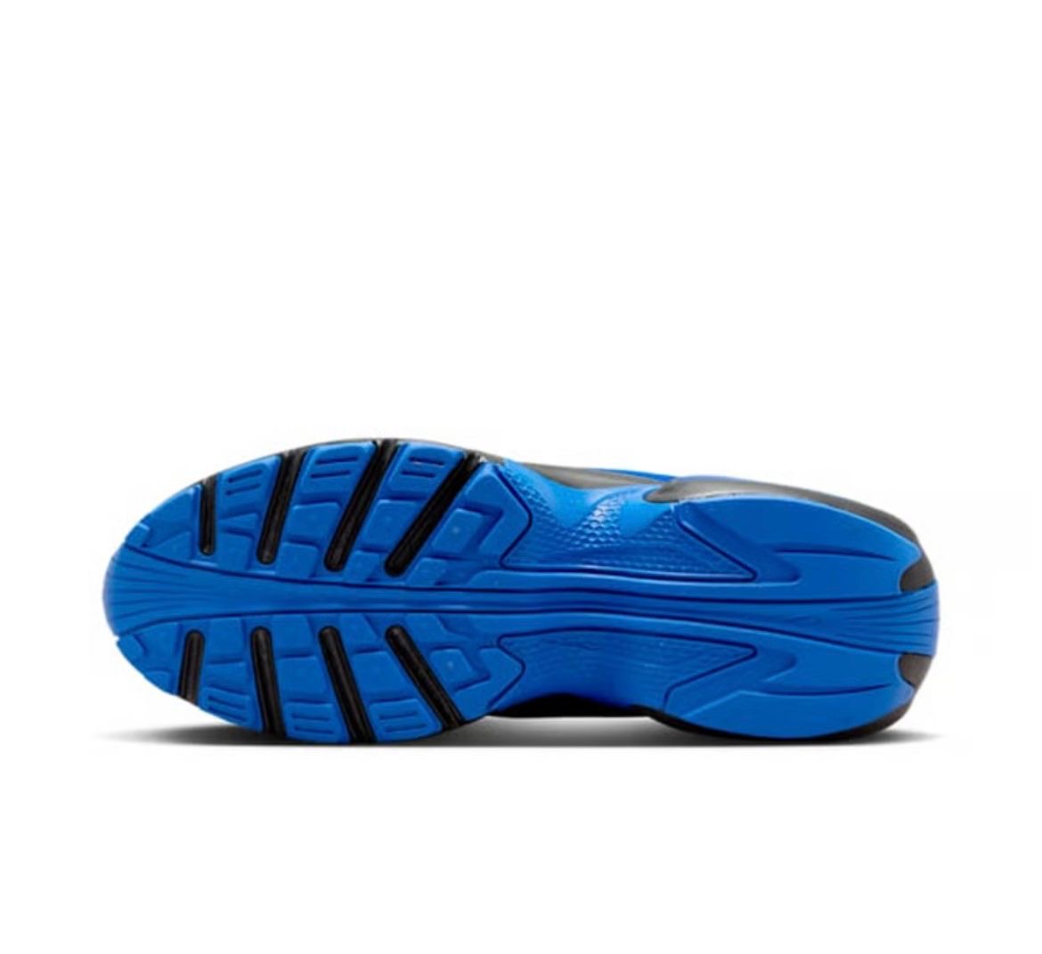 Nike Air Max Portal
"Racer Blue"
